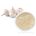 Top Quality Garlic Dry Powder Vegetables